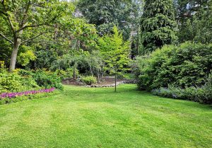 Optimiser l'expérience du jardin à Paisy-Cosdon